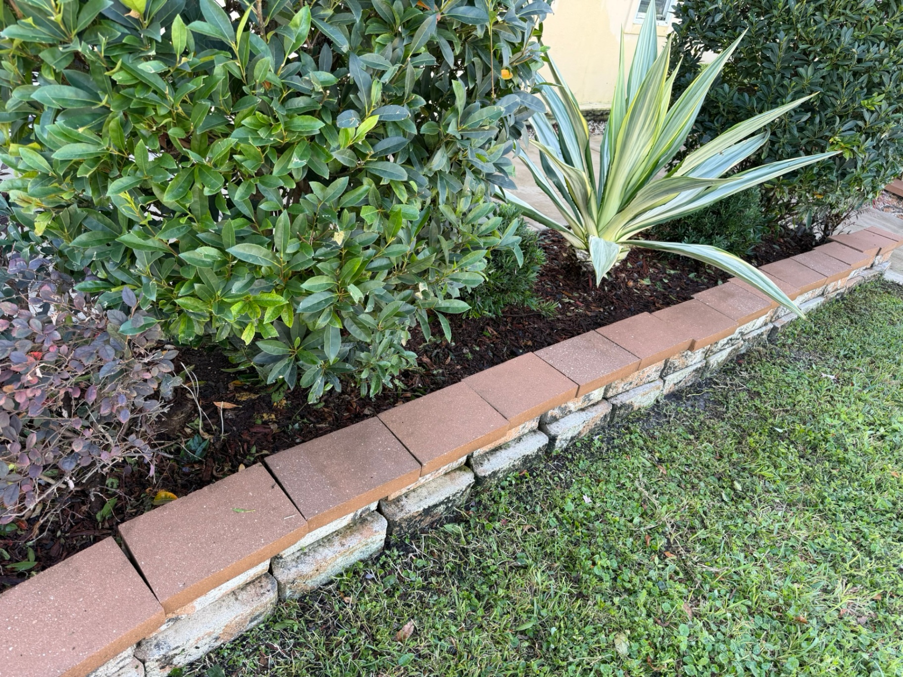 After — Pavers Restoration