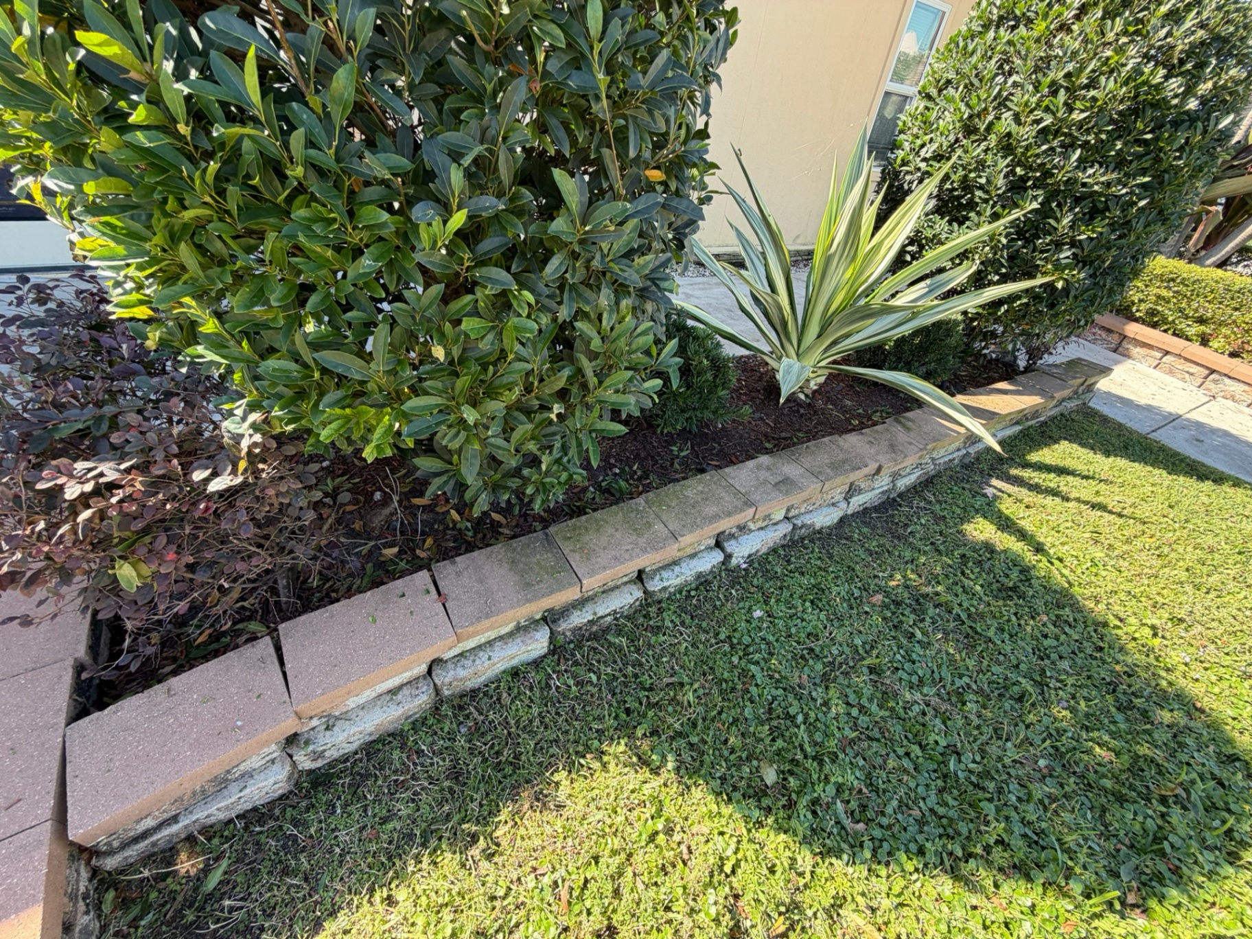 Before — Pavers Restoration