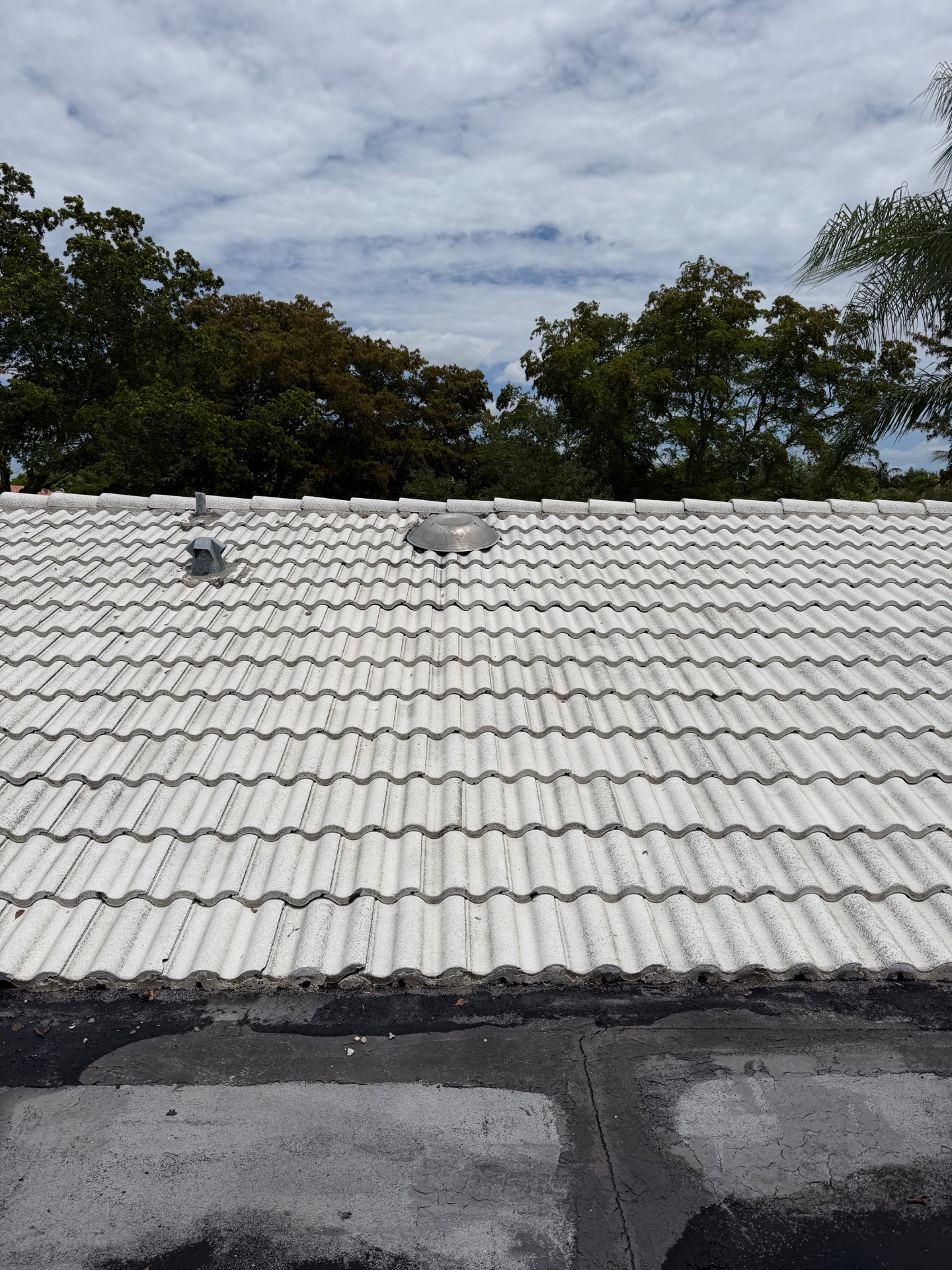 After — Tile Roof Soft Wash