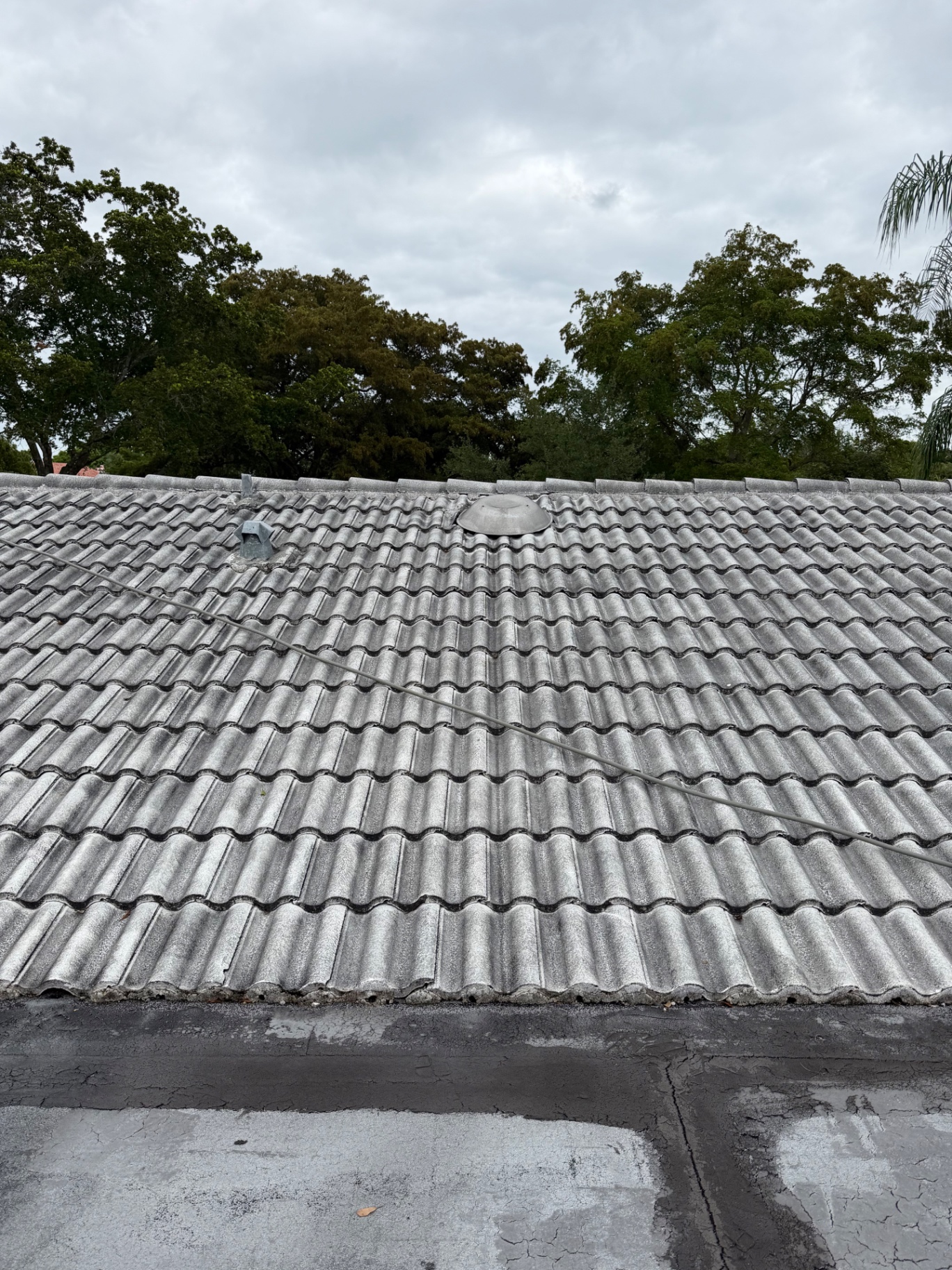 Before — Tile Roof Soft Wash